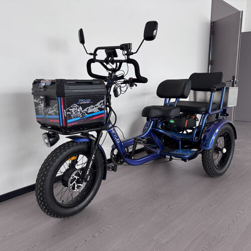 Heavy-Duty Fat-Tire Electric Tricycle: A Versatile Solution for Urban & Off-Road Travel
