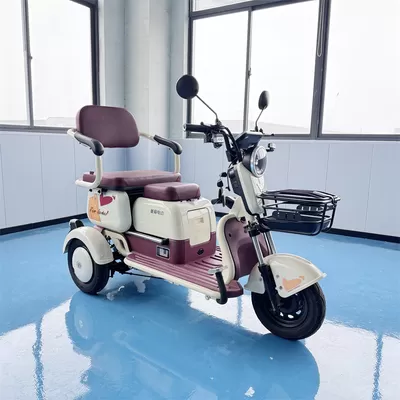 Compact 3-Wheel Electric Bike – Perfect for Narrow Streets, Grocery Runs & Elderly Riders