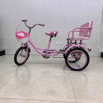 High-end Vineyards in California, USA Purchase Domestic Leisure Electric Tricycles for Full-scene Short-distance Travel 