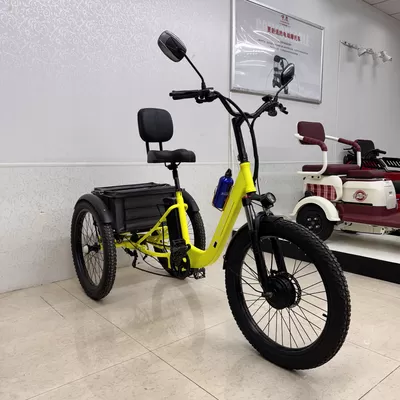 Intelligent Shared Leisure E-assist Two-wheelers Fully Deployed Along Rhine River Scenic Area in Germany to Boost Cultur
