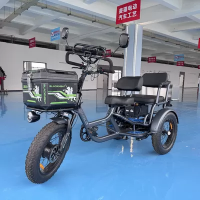 Deployment of Recreational Two‑wheel & Three‑wheel Mobility Vehicles in Suburban Senior Community