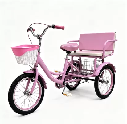 Leisure Tricycle Upgrade Project for Township Market in Shandong