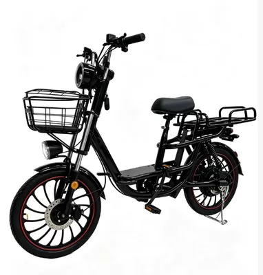 Local Delivery Project of Leisure Electric Tricycles in Suburbs of São Paulo, Brazil