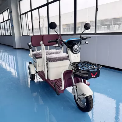 Latest company Cases about Compact 3-Wheel Electric Bike – Perfect for Short Commutes, Shopping & Community Use