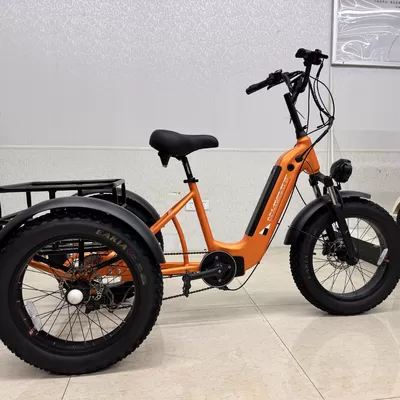 Latest company Cases about Multi-functional Leisure Electric Two-wheelers Adapt to Passenger Transport and Stall Business in Kenya