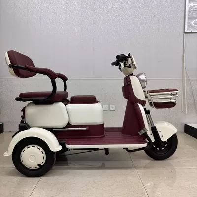 Latest company Cases about Photovoltaic Battery Swap System Launched in Rural Kenya, Leisure E-bikes & Cargo E-tricycles Cover Rural Passenger Tran
