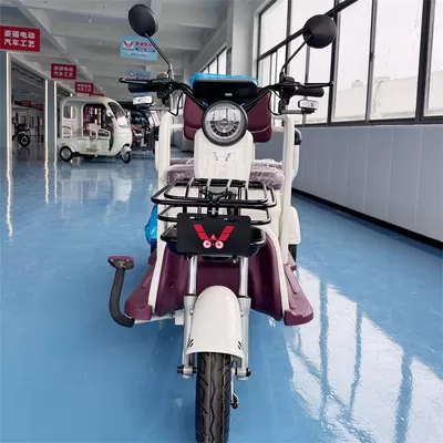 Latest company Cases about  Shared Leisure E‑Bikes Deployed for Mountain Homestay Cluster
