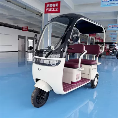 Latest company Cases about Overseas: Mass Introduction of Leisure E‑Tricycles for Community Services, São Paulo, Brazil