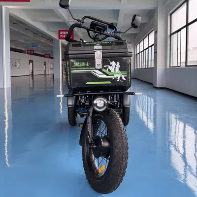Latest company Cases about Bulk Purchase of Recreational Electric Tricycles for North American Family Farms