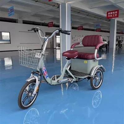 Latest company Cases about Commercial Refitting Project of Multifunctional Recreational Electric Tricycles for Southern European Old‑town Business 