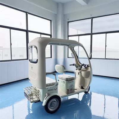 Latest company Cases about Luyuan Group Links Recreational Two-Wheel & Three-Wheel Lines, Partners with Overseas Institution for Global R&D