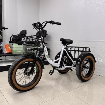 Latest company Cases about Temuco, Chile: Shared Recreational E-Bikes Scale Up in Citywide Operation