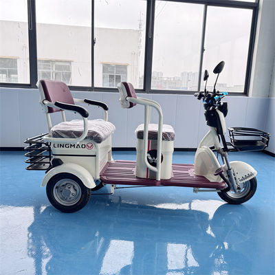 Buy Dual Purpose Electric Leisure Tricycle For Passenger And Cargo Transport online manufacture