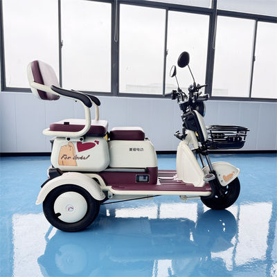 kaufen Stylische weiß-violette 2-Sitzer Elektro-Rikscha mit 500W Sinuswellenmotor für reibungsloses Pendeln Online-Herstellung