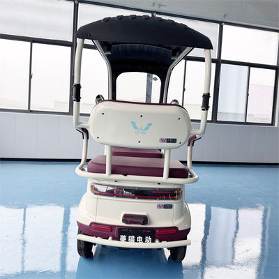 ซื้อ รถจักรยานยนต์สามยนต์ปิดที่มีมอเตอร์แกนขับเคลื่อนคลื่นไซน์ 800W 31-ท่อ ไฮดรอลิกฟอร์คด้านหน้าและยางสูบ 300-10 การผลิตออนไลน์