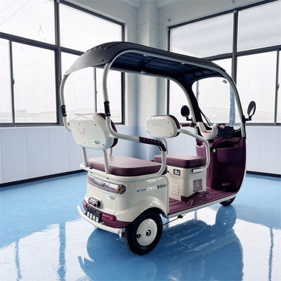 Mua Xe ba bánh điện động cơ sóng sin 800W có mái che mọi thời tiết, hệ thống treo thủy lực online manufacture