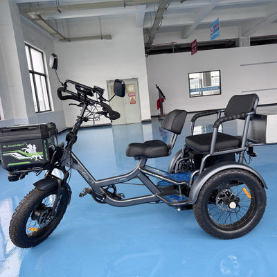 Beli Sepeda Motor Roda Tiga Listrik Multi Guna Bertenaga untuk Desain Terbuka yang Mudah Menangani Berbagai Medan online manufacture