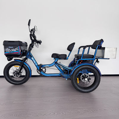 Beli Tricycle Listrik 2 Tempat Duduk Bertenaga Tinggi Rhino Tricycle Dewasa Konfigurasi Lengkap online manufacture