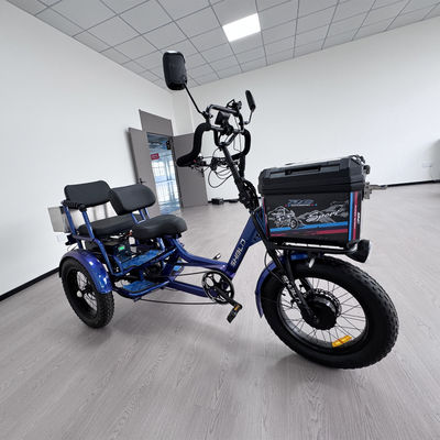 Buy Lightweight Electric Tricycle with 70kg High-Carbon Steel SPP Frame, Magnesium Alloy Integrated Wheel, and 150km Driving Range online manufacture