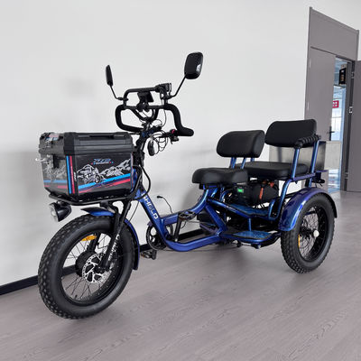 Beli Sepeda Roda Tiga Ebike 2 Tempat Duduk 3 Roda Rekreasi Off-Road Tipe Komuter Ganda Dengan Keranjang Penyimpanan online manufacture