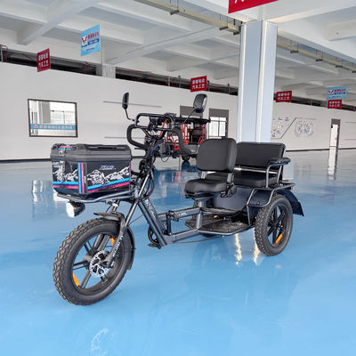 Buy Smooth Riding Two Seater Electric Trike 70 kg With Off Road Tires online manufacture