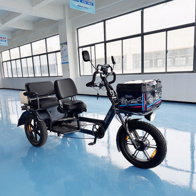 kaufen Xiniuwang Urban Edition Zweisitzer Elektro-Dreirad für urbane Mobilität online manufacture