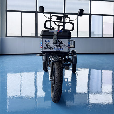 comprare Monoposto Triciclo Elettrico Potente Prestazioni online manufacture