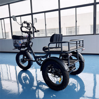 Beli Tricycle Listrik Kargo Dengan Keranjang Kargo Belakang Sepeda Roda Tiga Listrik ISO9001 online manufacture