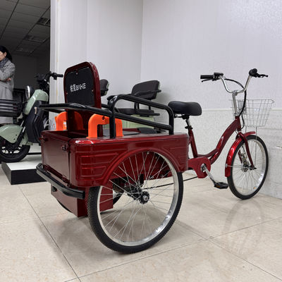 kopen Family Vrijetijds 3-wielige Pedaal Trike Passagier & Vrachtdrager Met Kinderzitje online manufacture