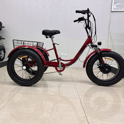 kaufen Leichter Dreirad-Mobilitätroller für Freizeit und Pendeln, 48V 500W Motor online manufacture