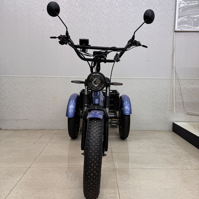 購入 多機能電動E三輪車 調節可能なハンドルバー + 7段変速 online manufacture