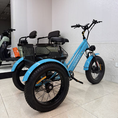 comprare Triciclo elettrico leggero blu fresco a doppio motore per uso esterno e domestico online manufacture