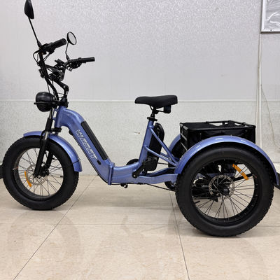 comprare Triciclo E-Bike con Telaio in Acciaio ad Alto Tenore di Carbonio, Motore da 500W per Fuoristrada Estremi e Pendolarismo Quotidiano online manufacture