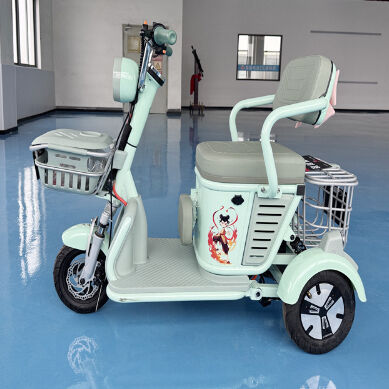 Buy 48V/60V Single Person Mini Electric Tricycle with 350W Dual-Wheel Drive and Flexible Storage Space for Daily Commuting online manufacture