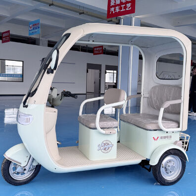 acheter Tricycle électrique à 6 places avec un toit résistant aux intempéries et un moteur de 800 W pour les familles nombreuses online manufacture