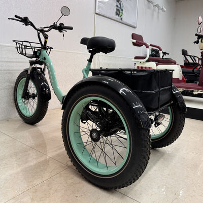 acheter Tricycle électrique E avec une capacité de charge de 150 kg, une batterie lithium-ion de 48 V et des pneus gras de 20 