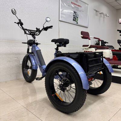 Buy Stable 3-Wheel Design Electric E Tricycle with Heavy-Duty Cargo Capacity and Powerful Electric Motor for Urban Transport online manufacture