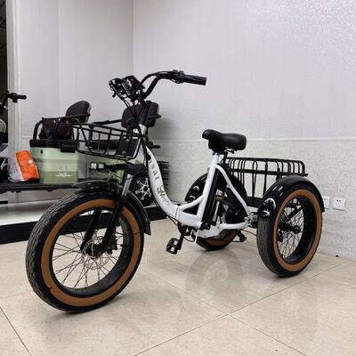 comprare Triciclo elettrico E con autonomia da 30-40 km, doppi cestini per il carico e trazione a pneumatici grassi per la consegna urbana online manufacture