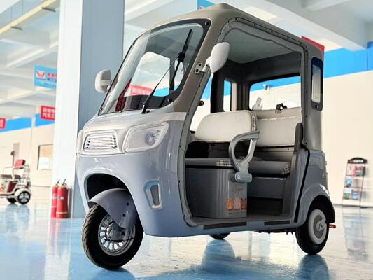 kaufen Lingmao Glückskatze Solarbetriebenes Elektro-Dreirad mit Sprachsteuerung und 1200W Motor für Smart Mobility online manufacture