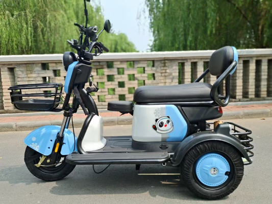 Buy 300-8 Vacuum Iron Wheel With Optional 500W Motor; 50-60km Long Mileage Range, Sufficient Power For Short-Distance Urban & Rural Trips online manufacture