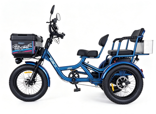 acquistare Triciclo elettrico a due posti con 100 km di autonomia, batteria al litio 48V30AH e freni a disco a 4 oli davanti e dietro fabbricazione online